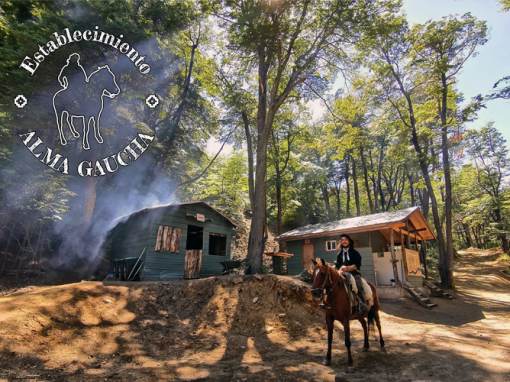 Servicios Alma Gaucha Puerto Ibáñez