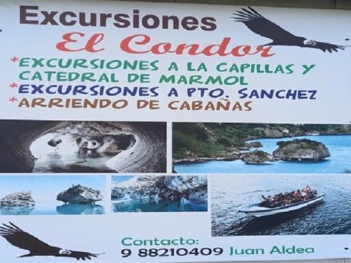 el condor