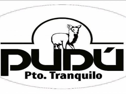 PUDU