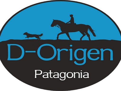 dorigen logo